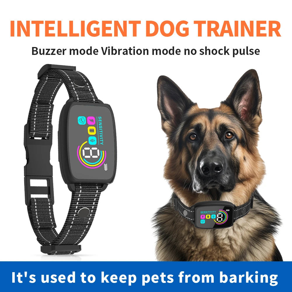 Potty Training & Behavioral Aids