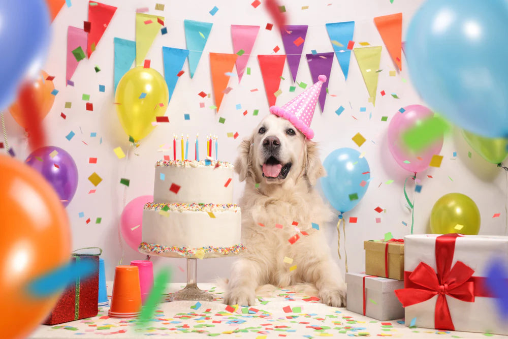 Birthday & Toys