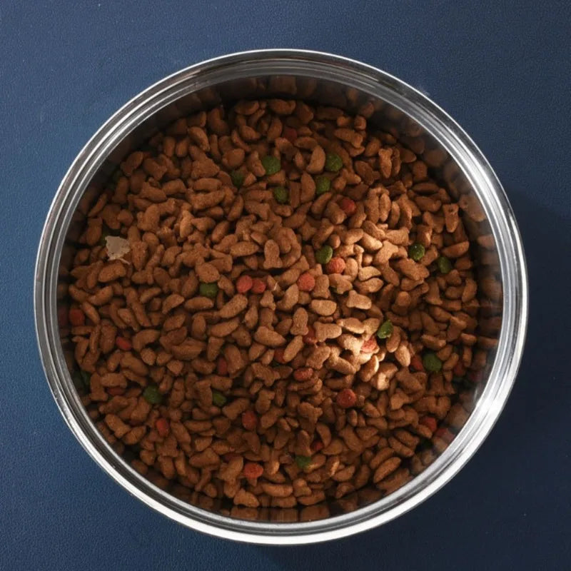 Premium Dog Bowl Stylish Large Capacity Pet Bowl Thickened Double-layer Stainless Steel Design with Non-Slip Mat for Cats Dogs