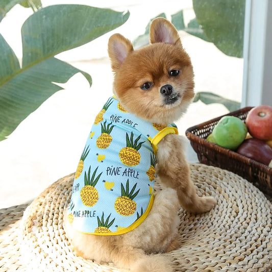 Dog Cat Puppy Kitten Pet Cartoon Spring/Summer Cotton Clothes
