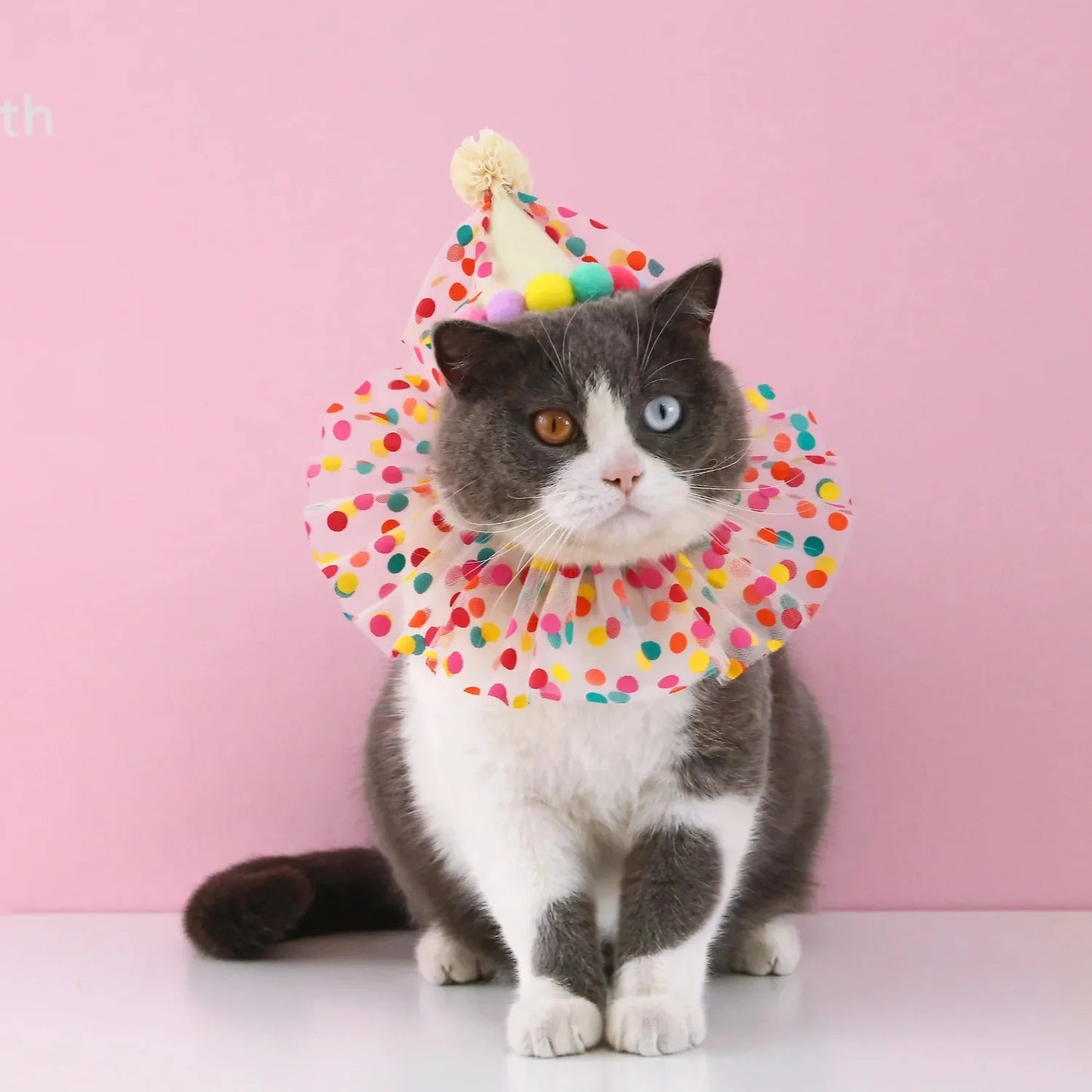 Pet Birthday Dress Set Banner Cat Dog Happy Birthday Party Decoration Exquisite Cute Adding A Joyful Atmosphere Multiple Options