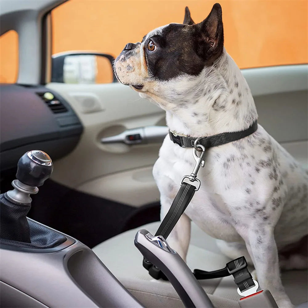 Adjustable Dog Car Seat Belt Harness for Dogs-Nylon Reflective Cushioning Elasticity Car Travel Accessories for Dogs